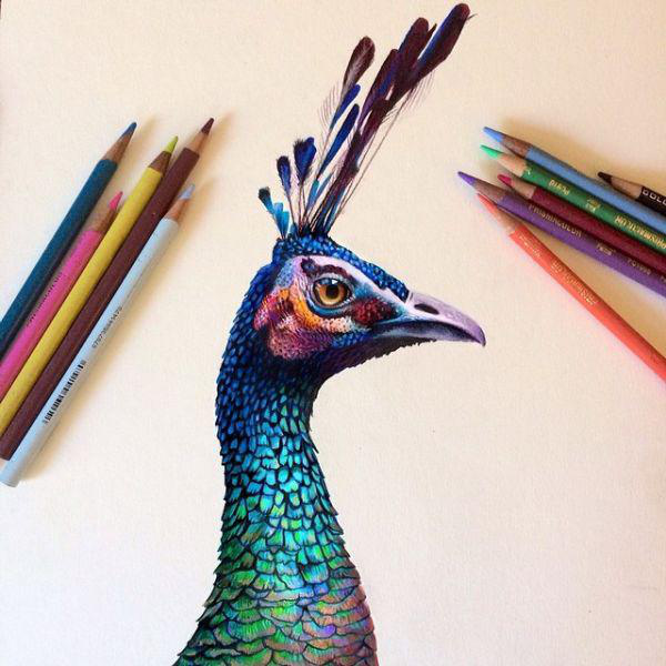 29 incredible pieces of pencil art