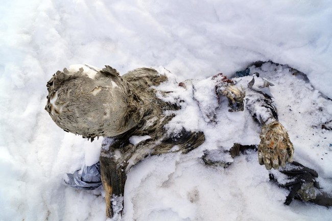One of the surviving hikers from that 1959 expedition, Luis Espinoza, analyzed the two bodies and confirmed that these were indeed those of his long lost friends, a reunion 56 years in the making.