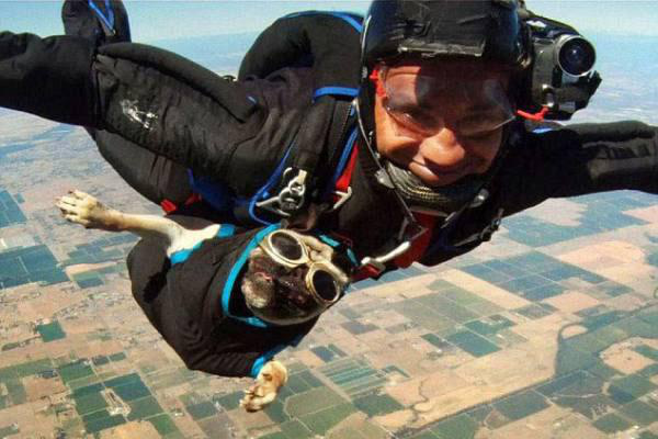 25 people looking hilarious while skydiving