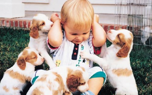 20 Pictures That Are Every Child's Dream