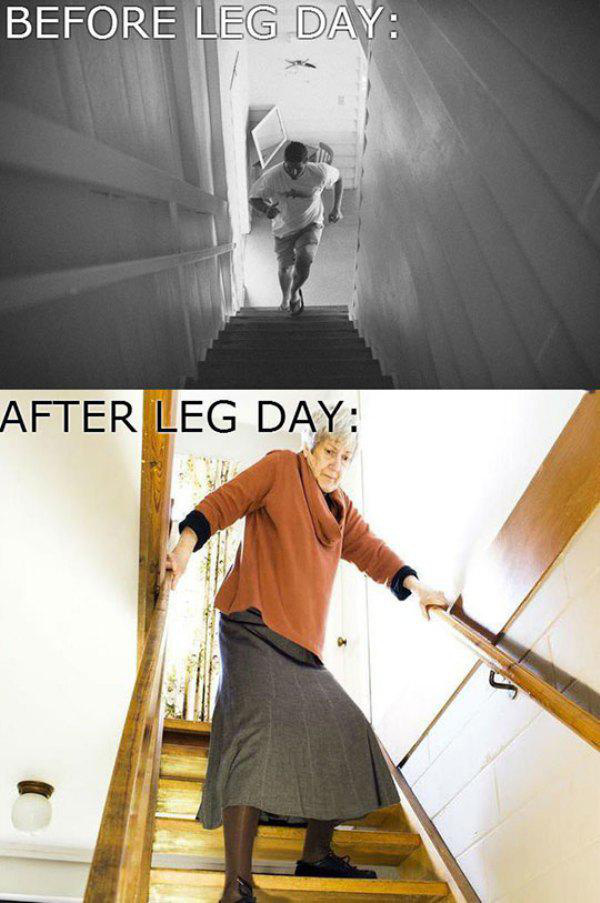 after leg day funny meme - Before Leg Day After Leg Day