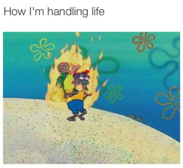 spongebob backpacker on fire - How I'm handling life