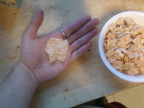 This Frosted Flake is unnaturally big.