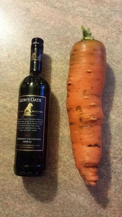 This carrot is bigger than a wine bottle.
