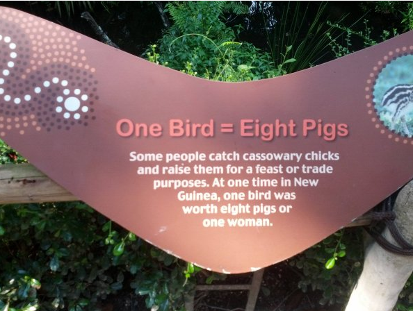 12 WTF Things You Might See At The Zoo