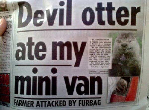 meme newspaper headlines - x swap Devil otter ate my mini van Farmer Attacked By Furbag
