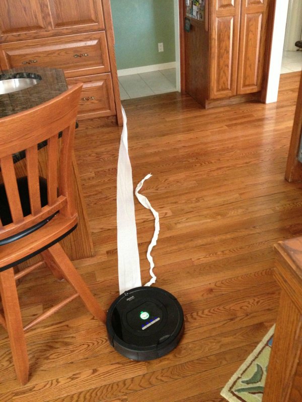 This roomba.