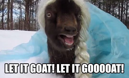 pun goat dressed as elsa - Let It Goat! Let It Gooodat!