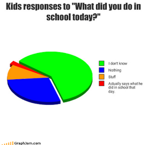 18 Totally Accurate Pie Charts About School