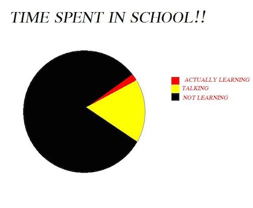 18 Totally Accurate Pie Charts About School