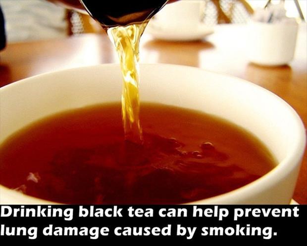 black tea - Drinking black tea can help prevent lung damage caused by smoking.