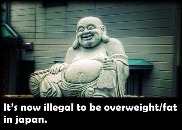 fat buddha - It's now illegal to be overweightfat in japan.
