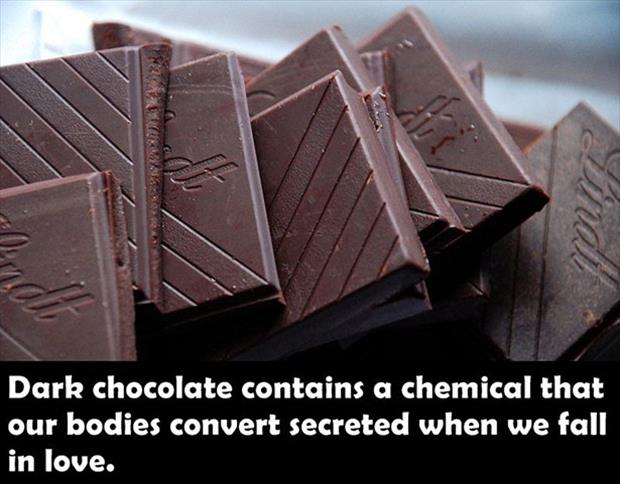 dark chocolate heart - Dark chocolate contains a chemical that our bodies convert secreted when we fall in love.