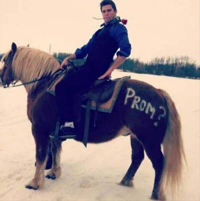 20 funny prom proposals