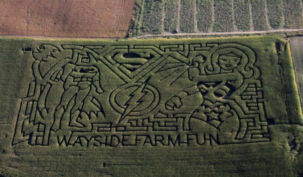 crop circle art grass - Oh Zt tl Wayside Farm Fundus