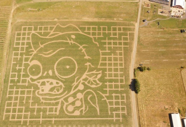 crop circle art maze in real life
