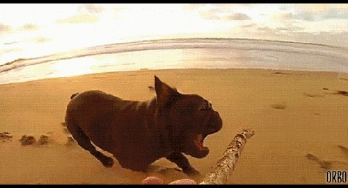 19 neverending gifs that are trippy