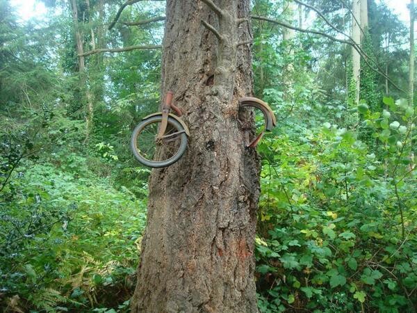 The story here is that a boy on Vashon Island in Washington chained his bike to this tree in 1914 and went off to fight in WWI, never to return. The tree really has grown around the bike, so this is another case of a wrongly assigned legend. The bike actually dates from the 1950s. Better still? The kid who abandoned it, Don Puz, remembers ditching it by this very tree in 1954. It's still a local oddity, and a pretty cool one at that.