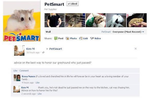 troll ken m comments - d PetSmart Pet Supplies Wall PetSmart Everyone Most Recent Pets Post Photo Link Video Ken 16 hours ago PetSmart advice on the best way to honor our greyhound who just passed? Comment Rosa Nunes If u loved and cherished him in life h