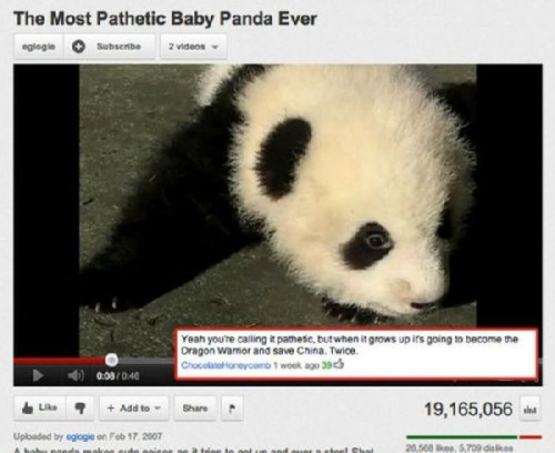 youtube comment funny youtube ad comments - The Most Pathetic Baby Panda Ever agloge Subscribe 2 videos Yeah you're calling pathetic, but when it grows up its going to become the Dragon Warrior and save China. Twice Chooneycomb woka390 04 7 Add to 19,165,