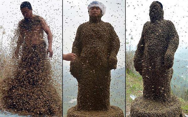 Chinese beekeeper She Ping covered his body with 73 pounds of bees to shatter the previous record of 59 pounds. It is estimated that there were around 330,000 bees covering him.