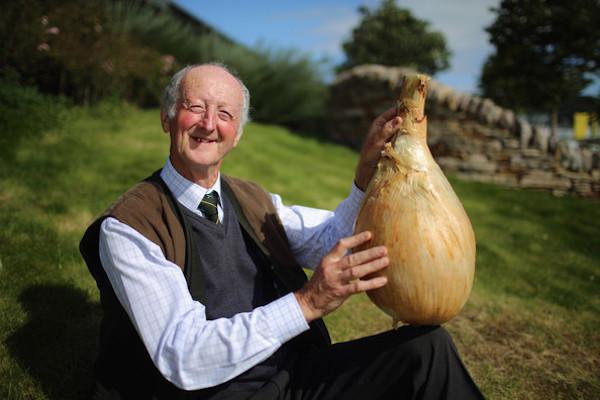Pete Glazebrook looks lovingly at his prize-winning onion which weighed a stunning 17 pounds. It’s the Guinness World Record holder for heaviest onion and has held the title since September 2011.