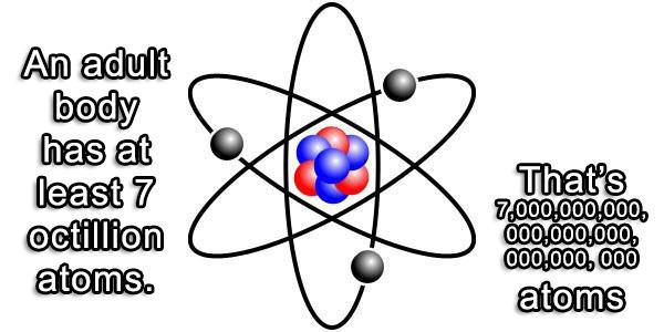 atoms meme - An adult body has at least 7 octillion atoms. That's 7,000,000,000 000,000,000 000,000,000 atoms