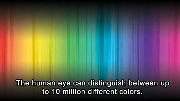 light - The human eye can distinguish between up to 10 million different colors.
