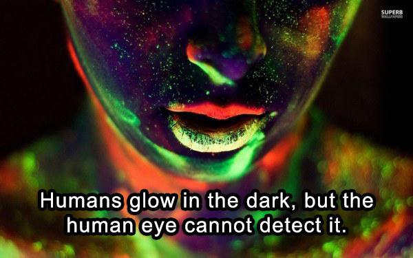 humans glow in the dark - Superb Humans glow in the dark, but the human eye cannot detect it.
