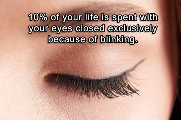 lip - 10% of your life is spent with your eyes closed exclusively because of blinking.