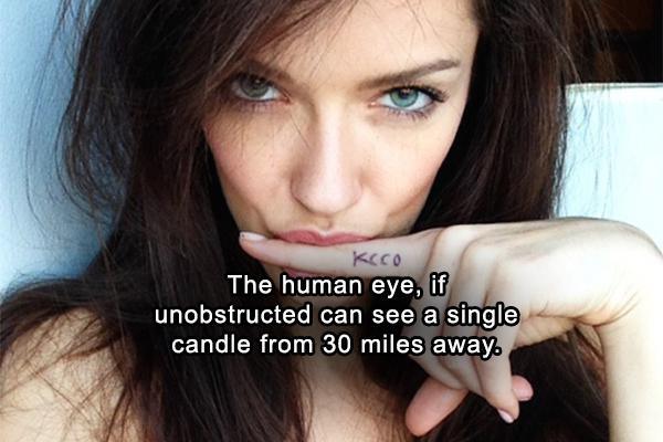 lip - Keco The human eye, if unobstructed can see a single candle from 30 miles away
