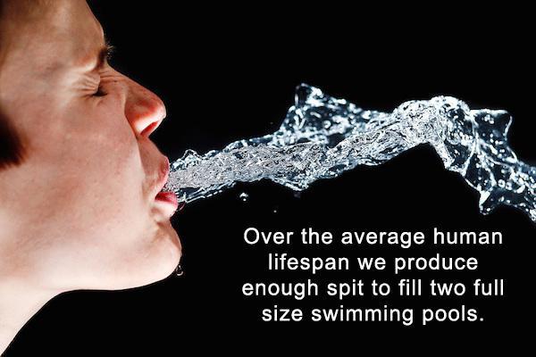 water spitting - Over the average human lifespan we produce enough spit to fill two full size swimming pools.