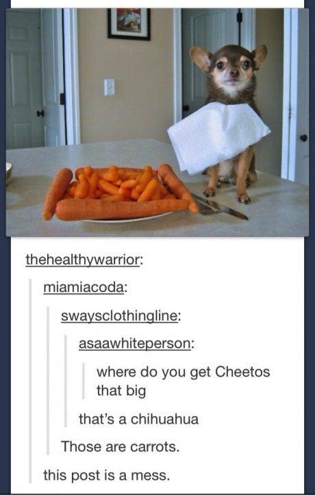 post is a train wreck - thehealthywarrior miamiacoda swaysclothingline asaawhiteperson where do you get Cheetos that big that's a chihuahua Those are carrots. this post is a mess.