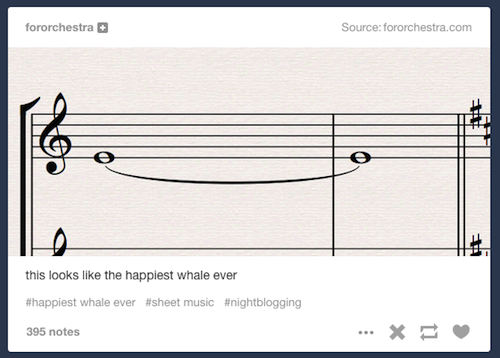 fororchestra Source fororchestra.com this looks the happiest whale ever whale ever music 395 notes