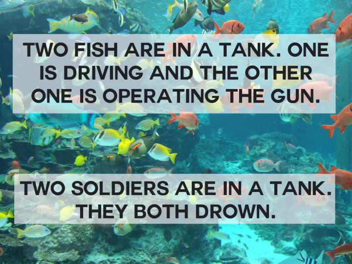 jokes that are so stupid they re funny - Two Fish Are In A Tank. One Is Driving And The Other One Is Operating The Gun. Two Soldiers Are In A Tank. They Both Drown.