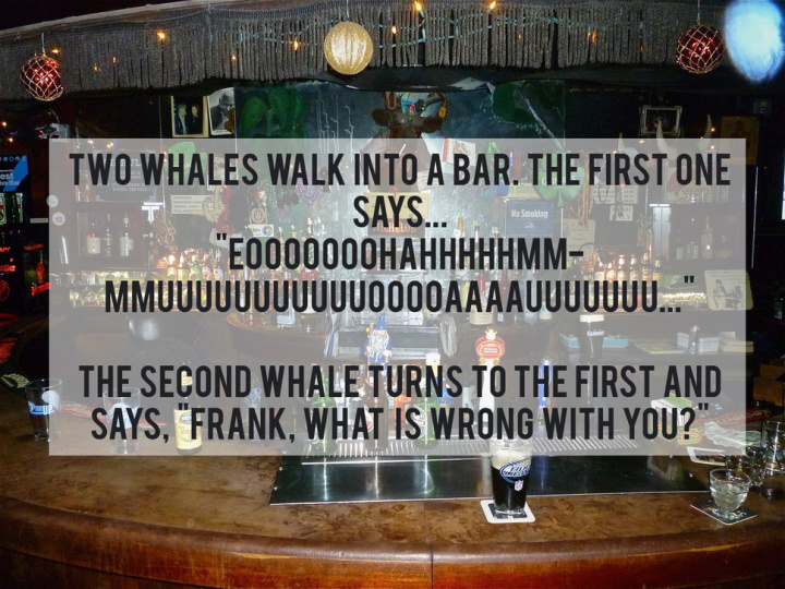 hilarious jokes guaranteed to make you laugh - Si Mo Smoking Two Whales Walk Into A Bar. The First One Te Says... nasabing "E0000000HAHHHHHMM MM0000AAAAU The Second Whale Turns To The First And Says, Frank, What Is Wrong With You?"