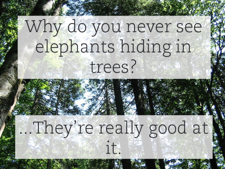 most stupid jokes - Why do you never see elephants hiding in trees? 2... They're really good at it.