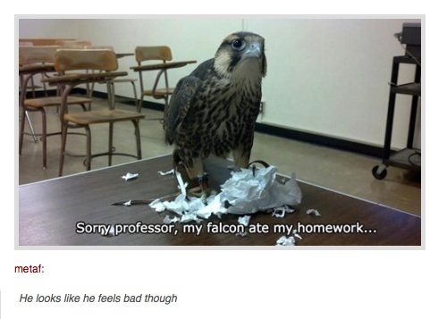 20 Times Tumblr Made GREAT Points About School