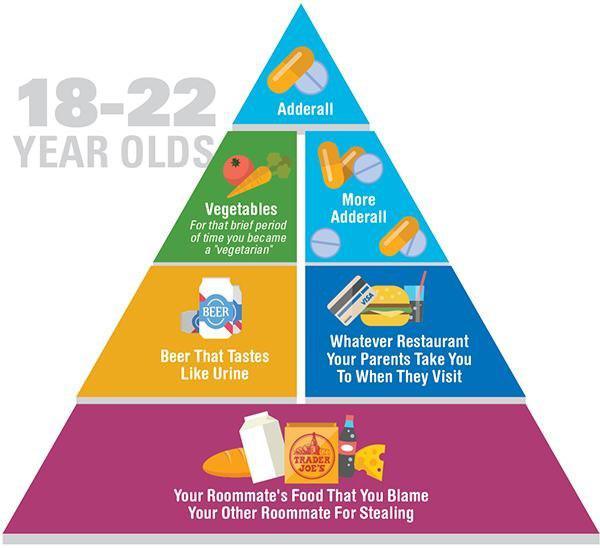 5 Honest food pyramids for every stage of your adulthood