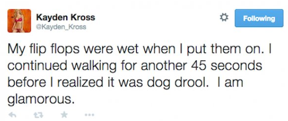 17 Times Porn Stars Were Funny on Twitter
