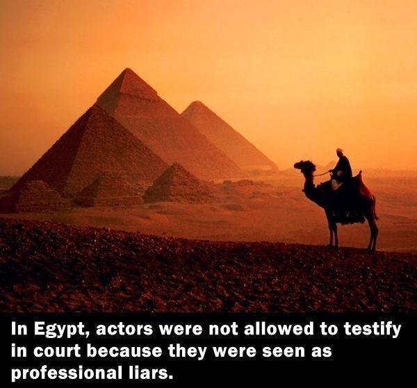 37 completely random factoids for your day