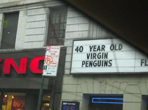 movie theater titles - No Paleong Inte 40 Year Old Virgin Penguins Fl