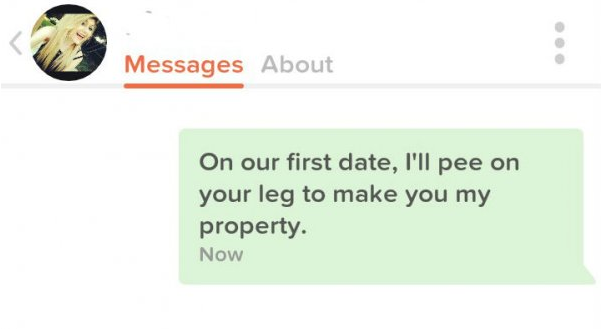 good one liners for tinder bio