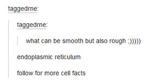 tumblr - document - taggedrne taggedrne what can be smooth but also rough endoplasmic reticulum for more cell facts