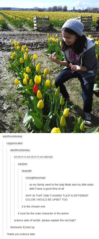 tumblr - tulips funny - adulthoodisokay copperscales adulthoodisokay 011011110110111101100100 sanjista bbandist chongthenomad so my family went to the tulip fields and my little sister didn't have a good time at all Why Is That One F King Tulip A Differen