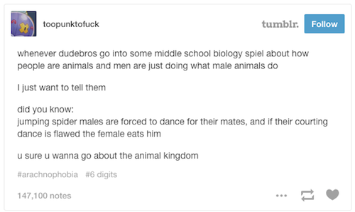 tumblr - science side - toopunktofuck tumblr. whenever dudebros go into some middle school biology spiel about how people are animals and men are just doing what male animals do I just want to tell them did you know jumping spider males are forced to danc