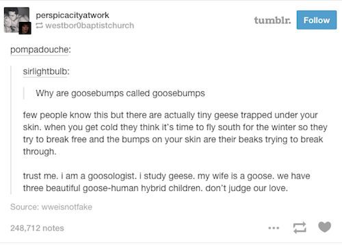 tumblr - document - perspicacityatwork westborobaptistchurch tumblr. pompadouche sirlightbulb Why are goosebumps called goosebumps few people know this but there are actually tiny geese trapped under your skin. when you get cold they think it's time to fl