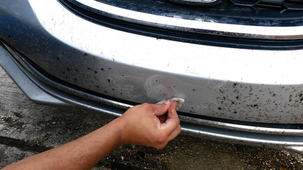 Spraying cooking oil can also prevent the accumulation of bugs on your bumper.