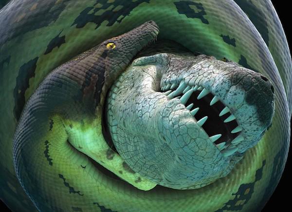 Titanoboa:
Probably one of the most infamous legendary animals, the titanoboa grew to lengths over 40 feet in length and eating basically anything, including crocodiles.