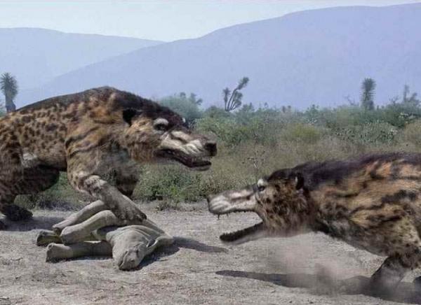 Andrewsarchus:
Described as the Jurassic Park depiction of Velociraptors in real life, the Andrewsarchus was a furred mammal that hunted in packs and hunted for sport. Strangely their modern descendants are goats and sheep, not wolves.